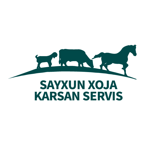 Sayxun Xoja