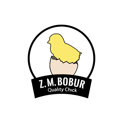 ZM Bobur